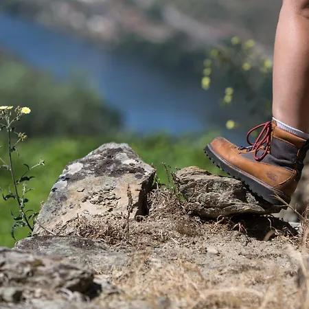 Casa De Casal De Loivos Pinhão