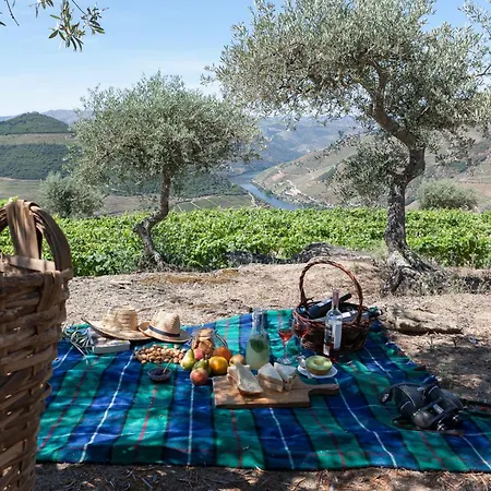 Casa De Casal De Loivos * Pinhão