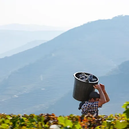 Casa De Casal De Loivos Landhaus