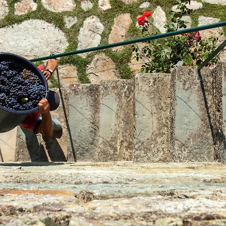 Casa De Casal De Loivos