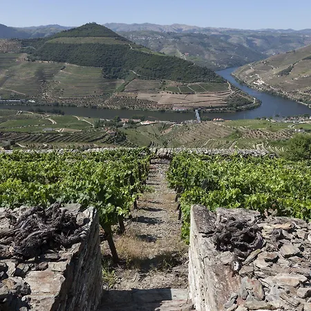 Casa di campagna Casa De Casal De Loivos *