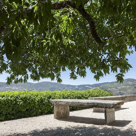 Casa di campagna Casa De Casal De Loivos Pinhão