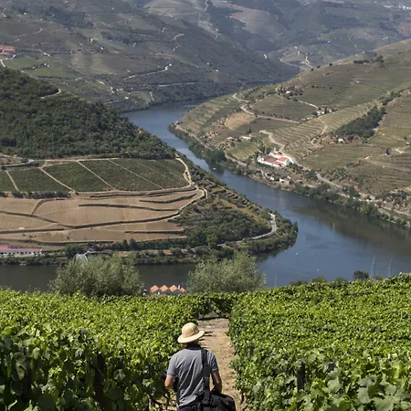 Casa di campagna Casa De Casal De Loivos