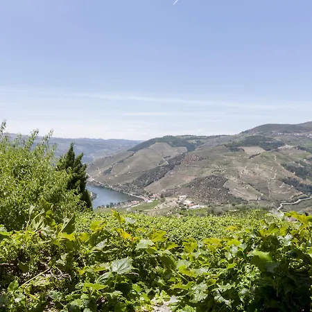 Landhaus Casa De Casal De Loivos