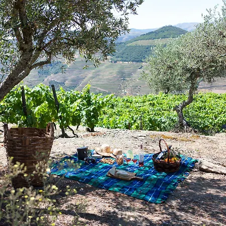 Casa De Casal De Loivos Landhaus *