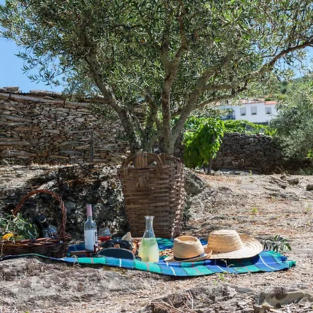 Casa di campagna Casa De Casal De Loivos Pinhão