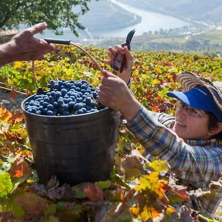 Casa di campagna Casa De Casal De Loivos Pinhão