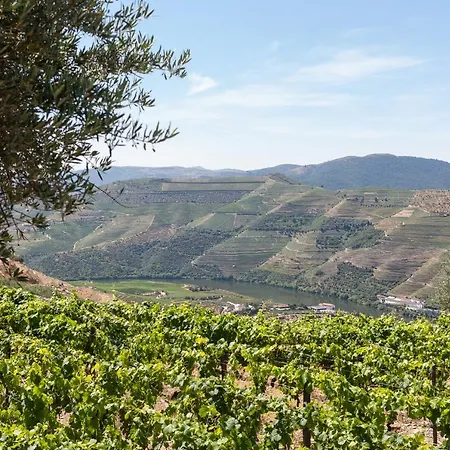 Landhaus Casa De Casal De Loivos