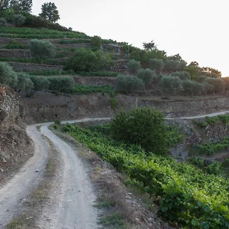 Casa De Casal De Loivos Casa di campagna Pinhão