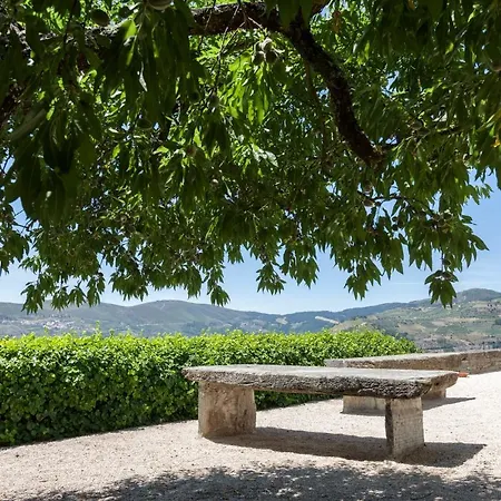 Casa De Casal De Loivos Kır Evi *
