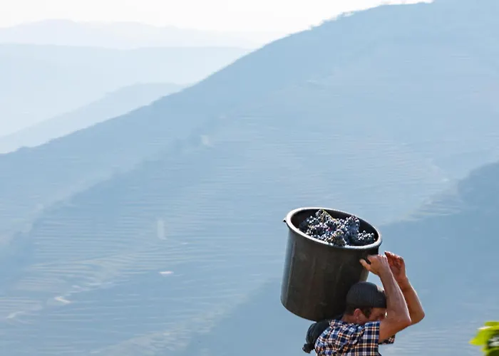 Casa De Casal De Loivos Εξοχικό σπίτι