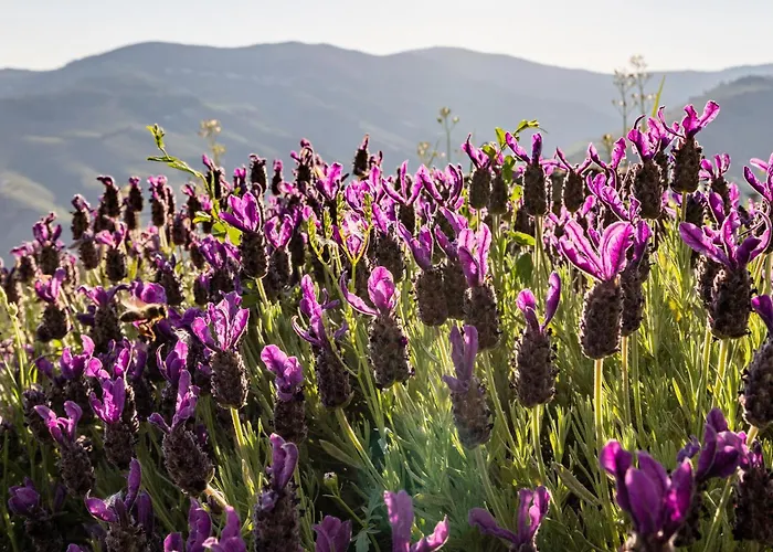 Εξοχικό σπίτι Casa De Casal De Loivos