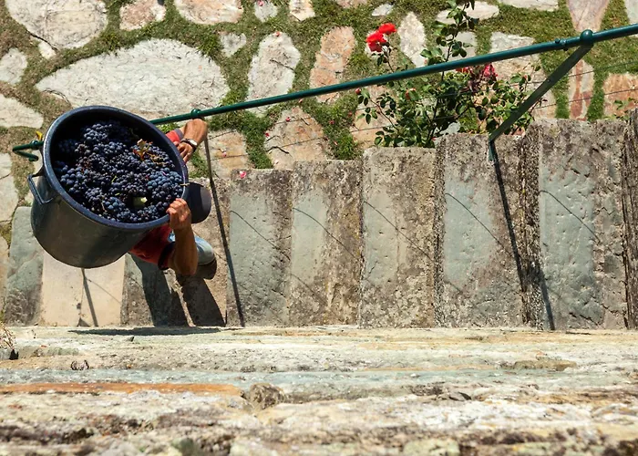 Casa De Casal De Loivos