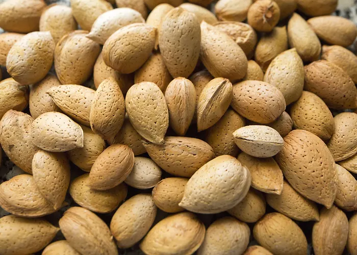 컨트리하우스 Casa De Casal De Loivos