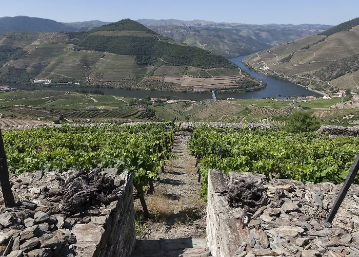 컨트리하우스 Casa De Casal De Loivos *