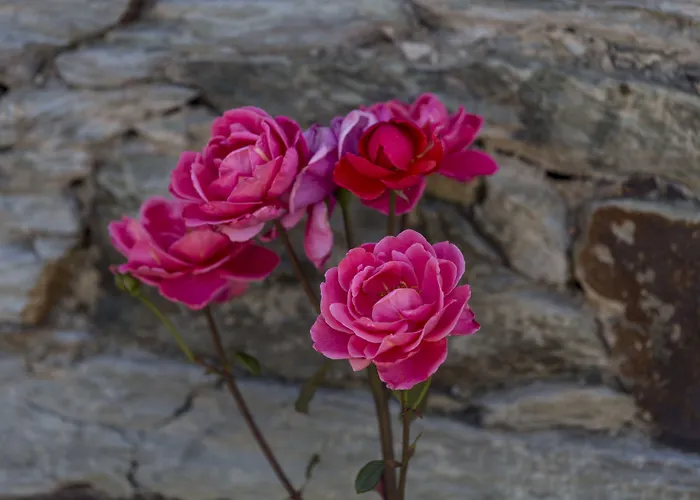 컨트리하우스 Casa De Casal De Loivos *