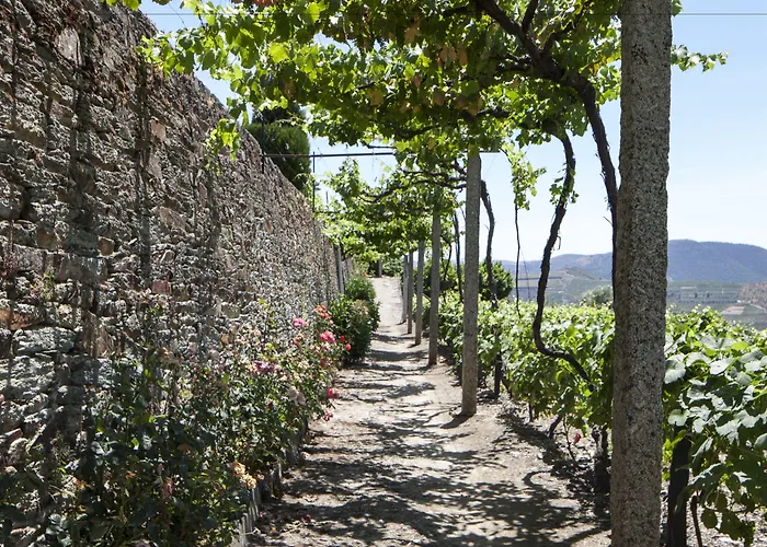 Casa De Casal De Loivos 핀하오