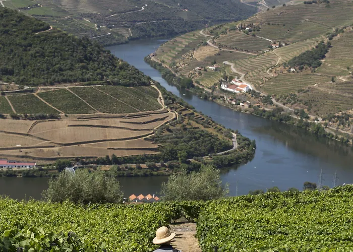 Gospodarstwo wiejskie Casa De Casal De Loivos