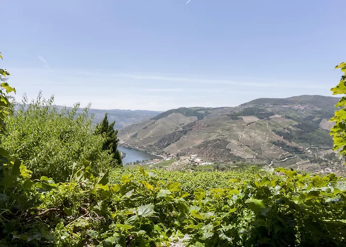 컨트리하우스 Casa De Casal De Loivos