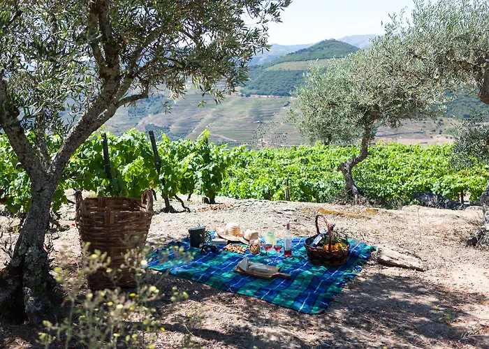 Casa De Casal De Loivos 컨트리하우스 *