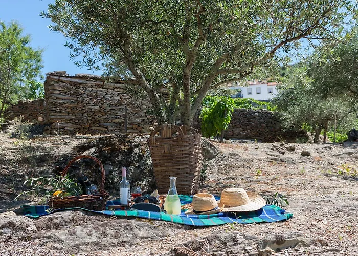 Gospodarstwo wiejskie Casa De Casal De Loivos Pinhão