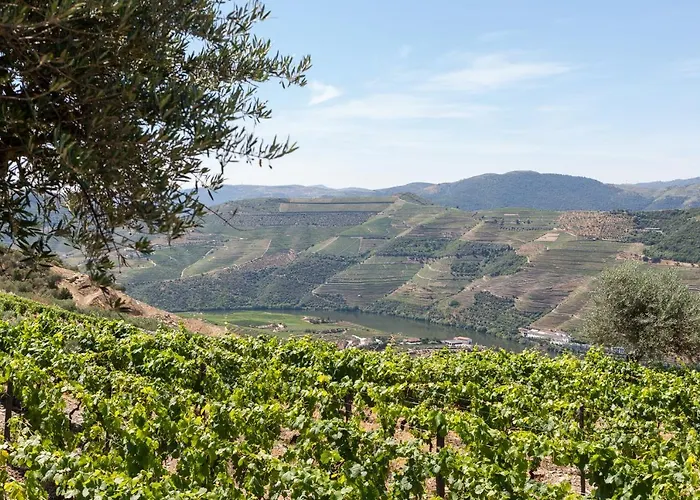 Εξοχικό σπίτι Casa De Casal De Loivos