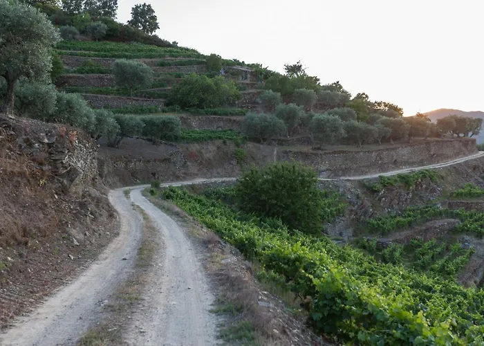 Casa De Casal De Loivos Εξοχικό σπίτι Pinhão